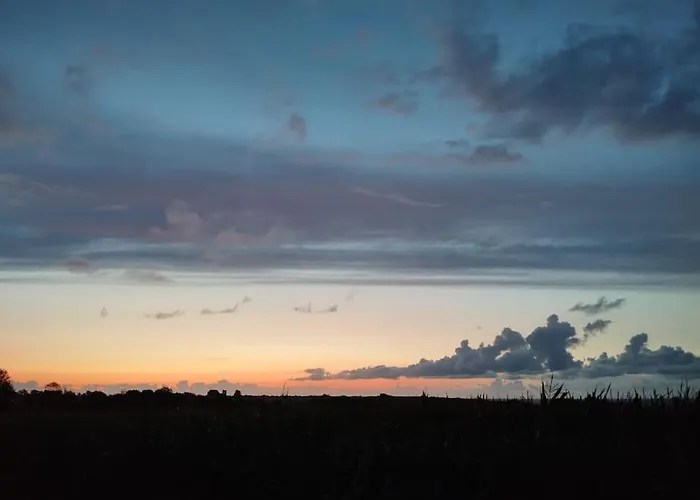 L'intermede - Bord De